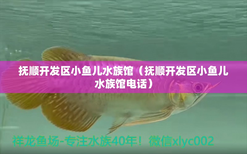 抚顺开发区小鱼儿水族馆（抚顺开发区小鱼儿水族馆电话）