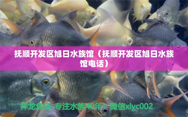 抚顺开发区旭日水族馆（抚顺开发区旭日水族馆电话）