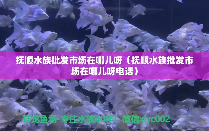 抚顺水族批发市场在哪儿呀（抚顺水族批发市场在哪儿呀电话）