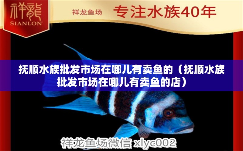 抚顺水族批发市场在哪儿有卖鱼的（抚顺水族批发市场在哪儿有卖鱼的店） 龙凤鲤鱼