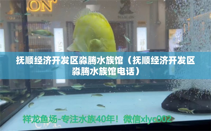 抚顺经济开发区淼腾水族馆（抚顺经济开发区淼腾水族馆电话）