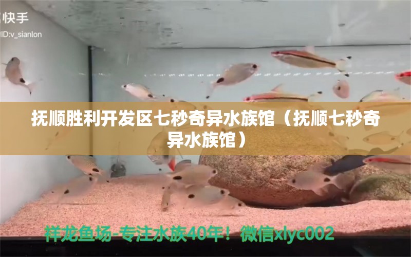 抚顺胜利开发区七秒奇异水族馆（抚顺七秒奇异水族馆） 全国观赏鱼市场 第2张