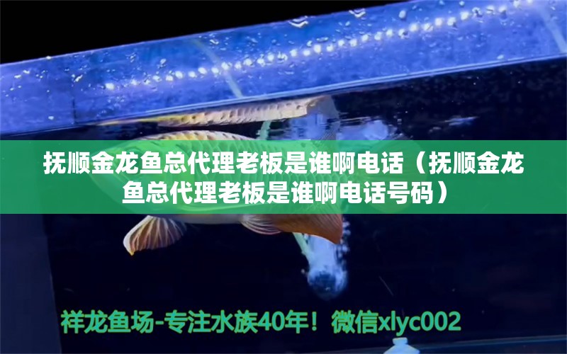 抚顺金龙鱼总代理老板是谁啊电话（抚顺金龙鱼总代理老板是谁啊电话号码）