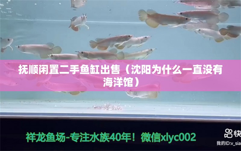 抚顺闲置二手鱼缸出售（沈阳为什么一直没有海洋馆） 战车红龙鱼 第2张