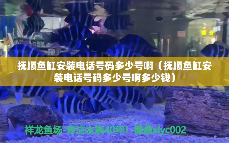 抚顺鱼缸安装电话号码多少号啊（抚顺鱼缸安装电话号码多少号啊多少钱）