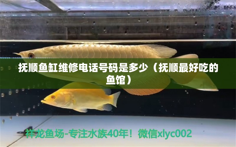 抚顺鱼缸维修电话号码是多少（抚顺最好吃的鱼馆） 其他品牌鱼缸