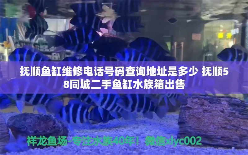 抚顺鱼缸维修电话号码查询地址是多少 抚顺58同城二手鱼缸水族箱出售