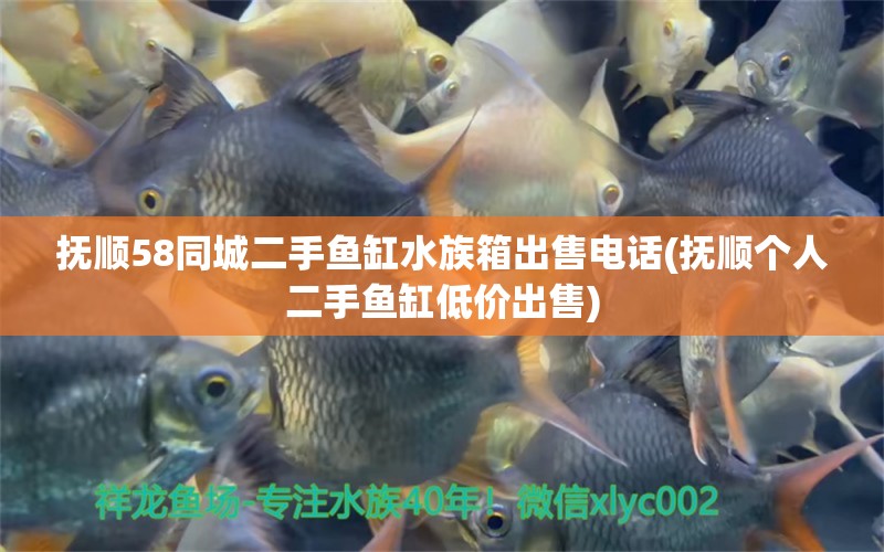 抚顺58同城二手鱼缸水族箱出售电话(抚顺个人二手鱼缸低价出售) 鱼缸/水族箱