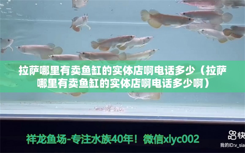 拉萨哪里有卖鱼缸的实体店啊电话多少（拉萨哪里有卖鱼缸的实体店啊电话多少啊）