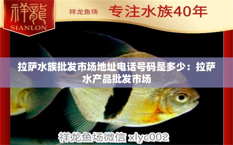 拉萨水族批发市场地址电话号码是多少：拉萨水产品批发市场