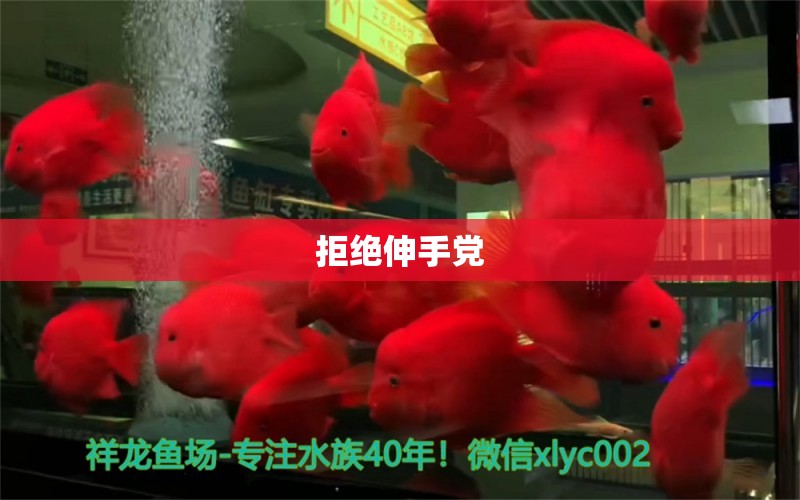 拒绝伸手党 水族用品