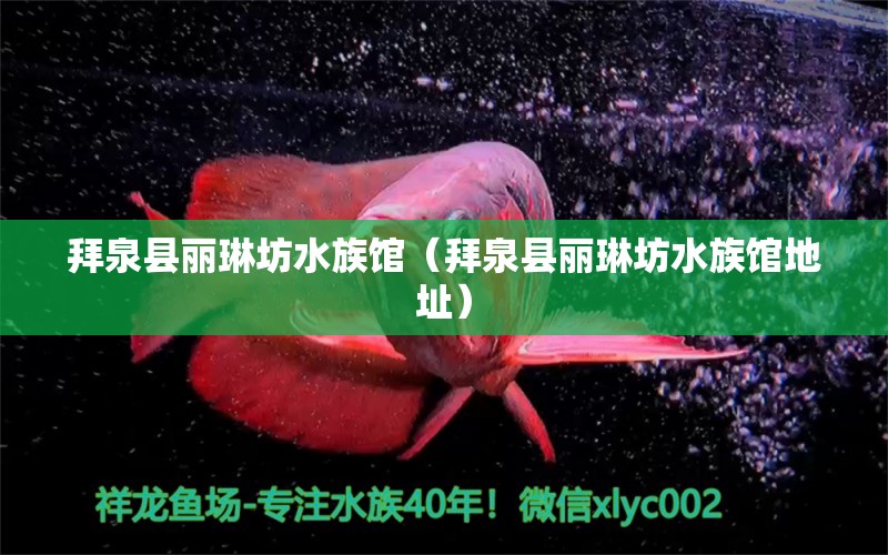 拜泉县丽琳坊水族馆（拜泉县丽琳坊水族馆地址） 全国水族馆企业名录