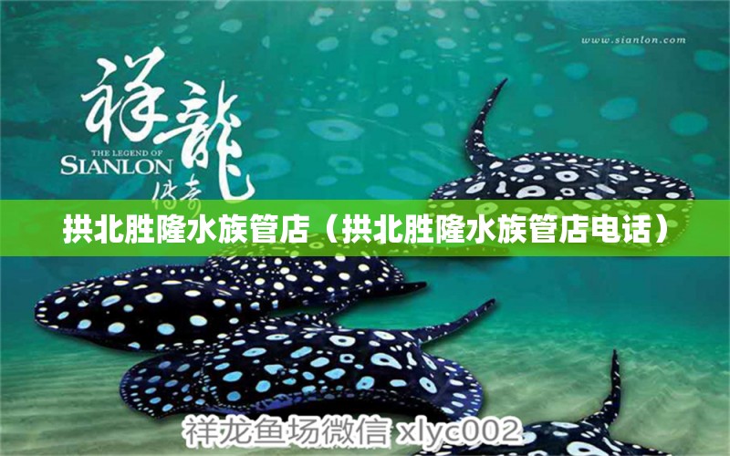 拱北胜隆水族管店（拱北胜隆水族管店电话）