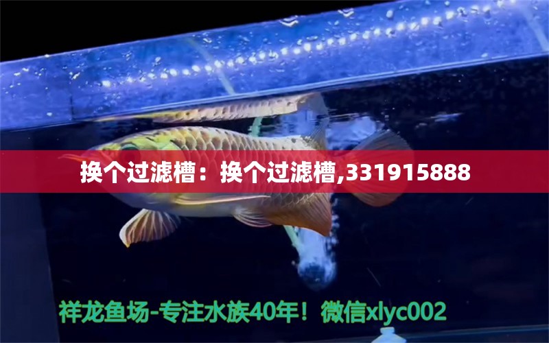 换个过滤槽：换个过滤槽,331915888 观赏鱼论坛 第2张