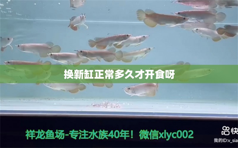 换新缸正常多久才开食呀 观赏鱼论坛 第2张