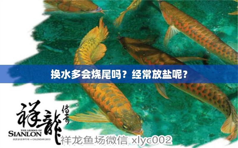 换水多会烧尾吗？经常放盐呢？