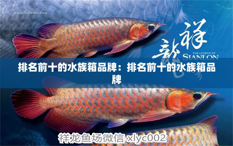 排名前十的水族箱品牌：排名前十的水族箱品牌