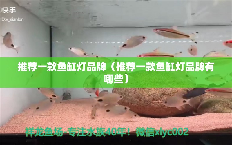 推荐一款鱼缸灯品牌（推荐一款鱼缸灯品牌有哪些）