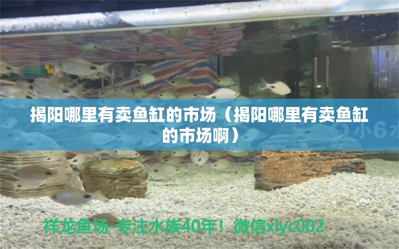 揭阳哪里有卖鱼缸的市场（揭阳哪里有卖鱼缸的市场啊） 其他品牌鱼缸