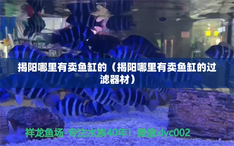 揭阳哪里有卖鱼缸的（揭阳哪里有卖鱼缸的过滤器材） 其他品牌鱼缸