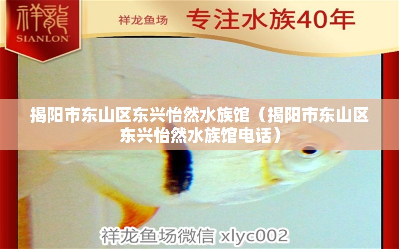 揭阳市东山区东兴怡然水族馆（揭阳市东山区东兴怡然水族馆电话）