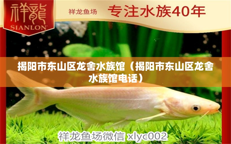 揭阳市东山区龙舍水族馆（揭阳市东山区龙舍水族馆电话）