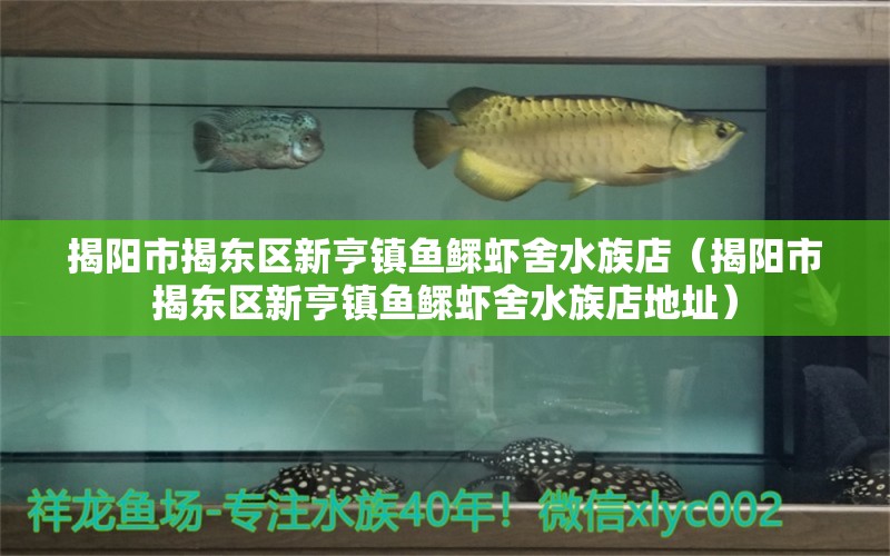 揭阳市揭东区新亨镇鱼鳏虾舍水族店（揭阳市揭东区新亨镇鱼鳏虾舍水族店地址） 全国水族馆企业名录