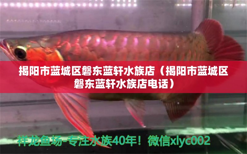 揭阳市蓝城区磐东蓝轩水族店（揭阳市蓝城区磐东蓝轩水族店电话） 全国水族馆企业名录