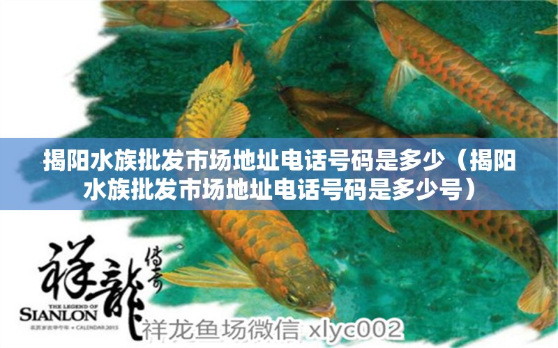 揭阳水族批发市场地址电话号码是多少（揭阳水族批发市场地址电话号码是多少号） 观赏鱼水族批发市场