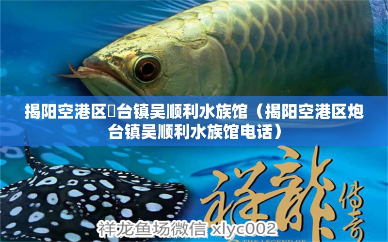 揭阳空港区砲台镇吴顺利水族馆（揭阳空港区炮台镇吴顺利水族馆电话）