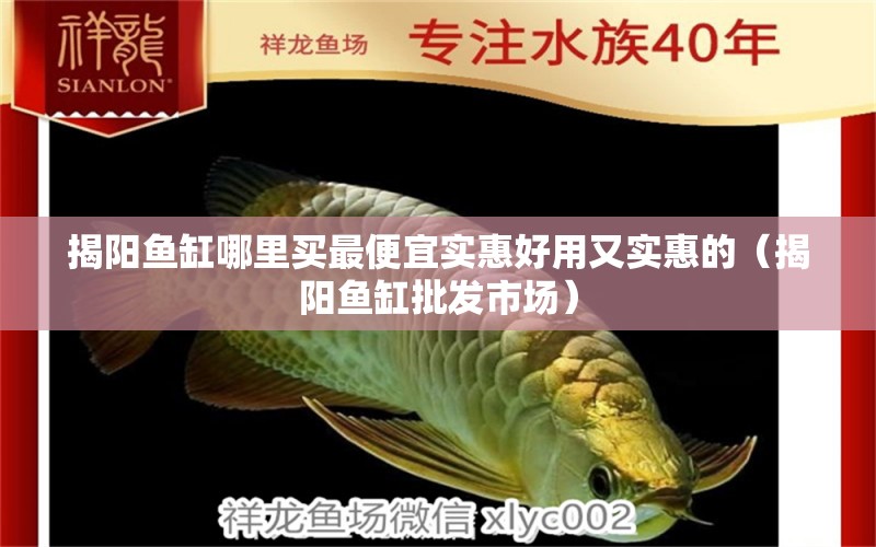 揭阳鱼缸哪里买最便宜实惠好用又实惠的（揭阳鱼缸批发市场） 广州观赏鱼批发市场