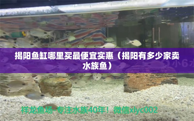 揭阳鱼缸哪里买最便宜实惠（揭阳有多少家卖水族鱼） 广州观赏鱼批发市场