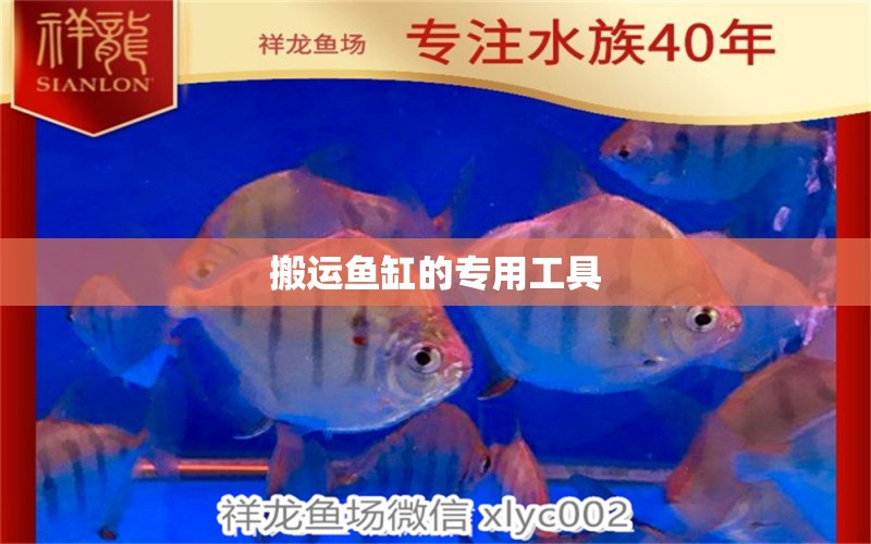 搬运鱼缸的专用工具 水族问答 第1张