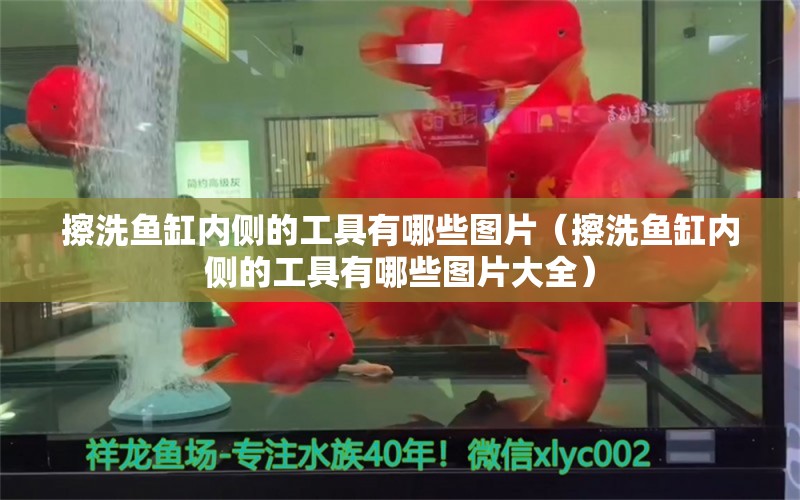 擦洗鱼缸内侧的工具有哪些图片（擦洗鱼缸内侧的工具有哪些图片大全）