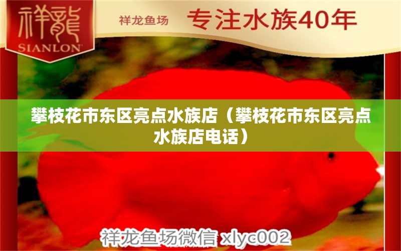 攀枝花市东区亮点水族店（攀枝花市东区亮点水族店电话） 全国水族馆企业名录