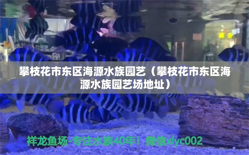 攀枝花市东区海源水族园艺（攀枝花市东区海源水族园艺场地址）