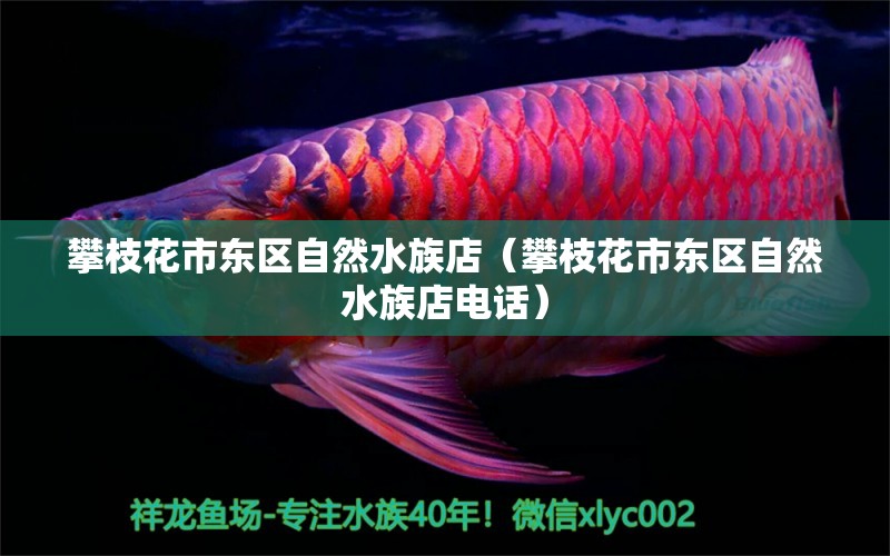 攀枝花市东区自然水族店（攀枝花市东区自然水族店电话）