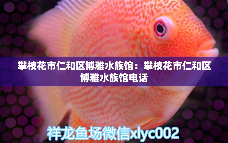 攀枝花市仁和区博雅水族馆：攀枝花市仁和区博雅水族馆电话