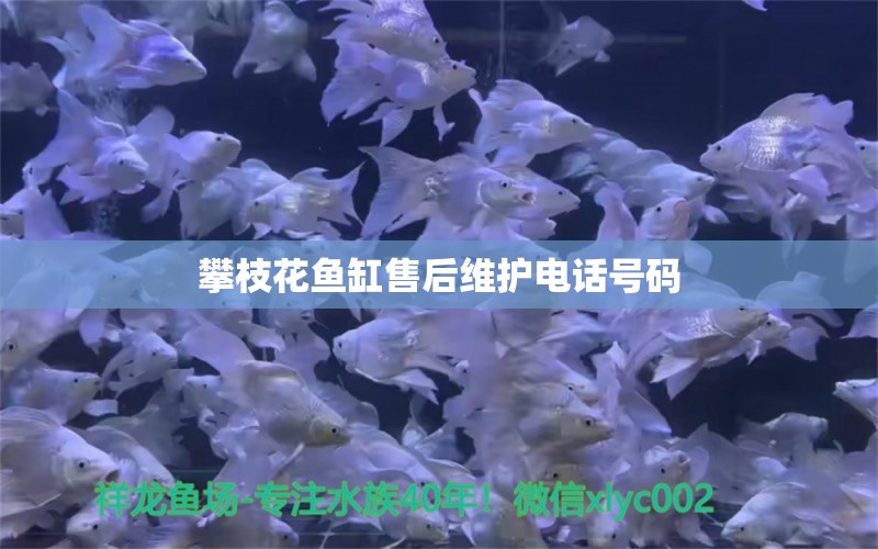 攀枝花鱼缸售后维护电话号码