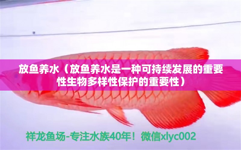 放鱼养水（放鱼养水是一种可持续发展的重要性生物多样性保护的重要性）