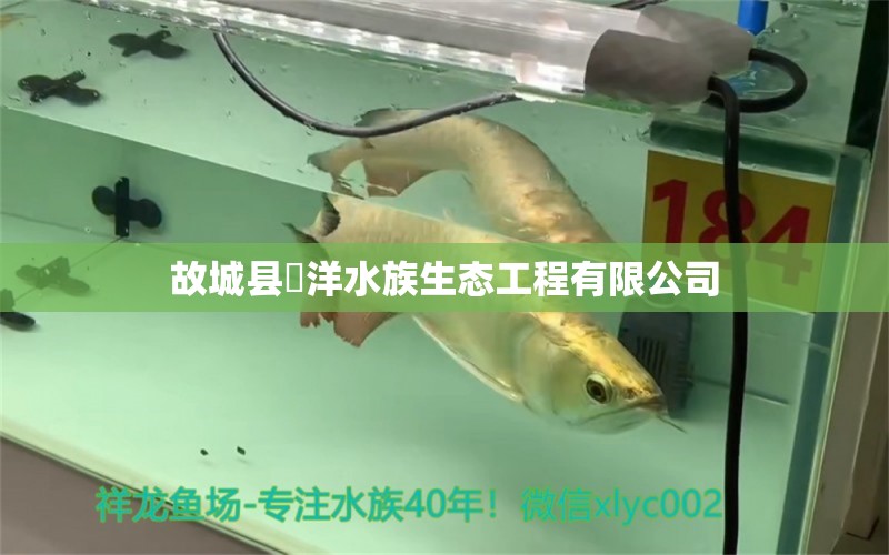 故城县沺洋水族生态工程有限公司