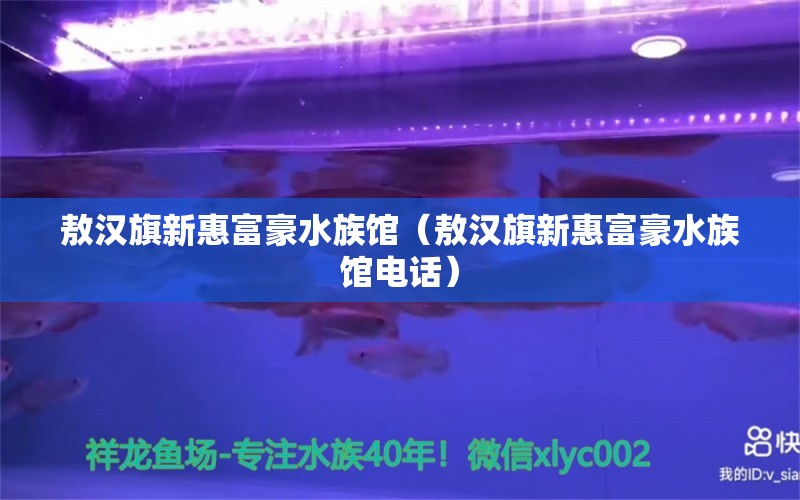 敖汉旗新惠富豪水族馆（敖汉旗新惠富豪水族馆电话）