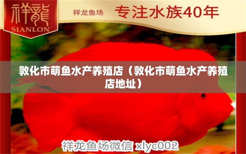 敦化市萌鱼水产养殖店（敦化市萌鱼水产养殖店地址） 全国水族馆企业名录