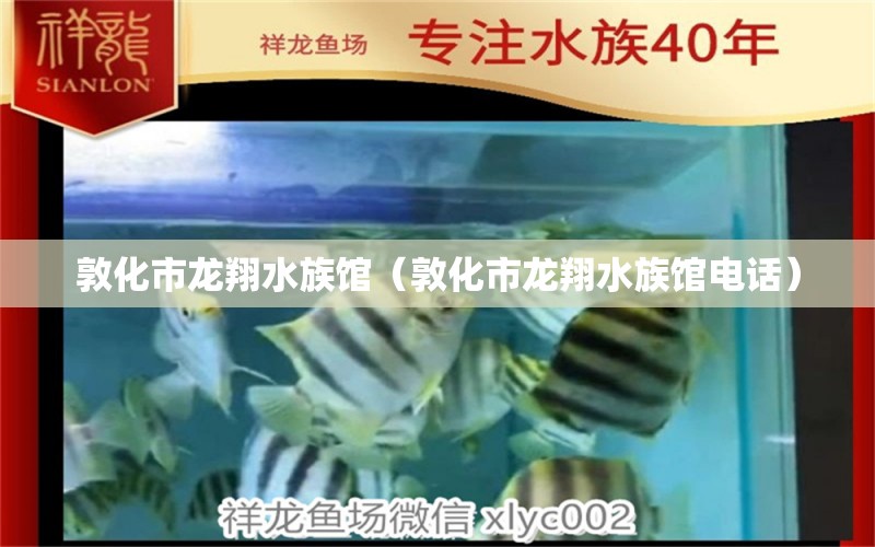 敦化市龙翔水族馆（敦化市龙翔水族馆电话） 全国水族馆企业名录