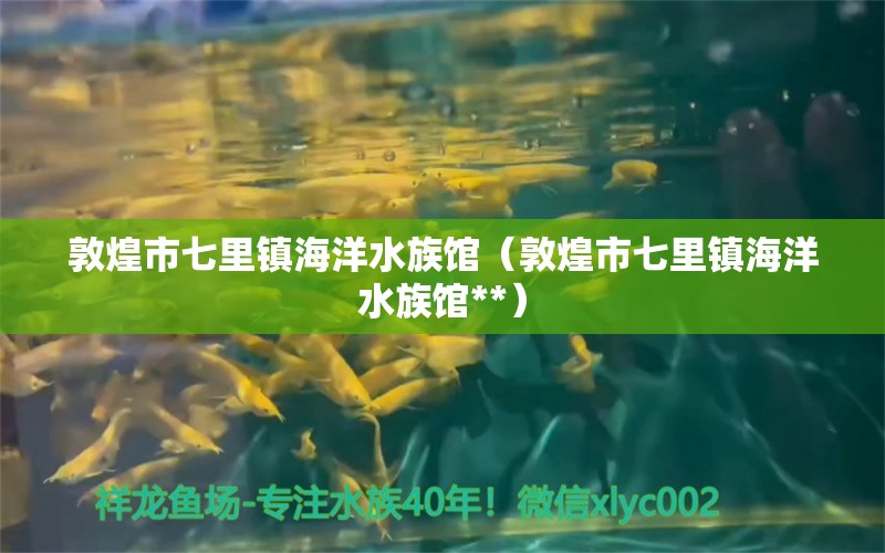 敦煌市七里镇海洋水族馆（敦煌市七里镇海洋水族馆**）