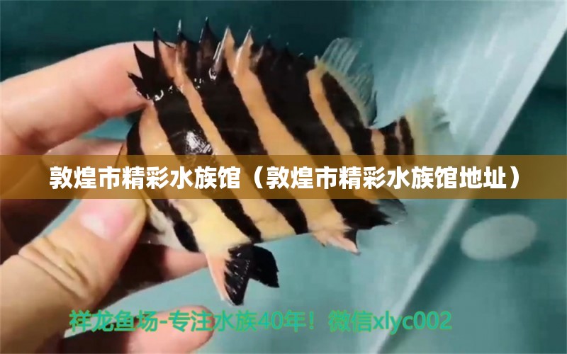 敦煌市精彩水族馆（敦煌市精彩水族馆地址） 全国水族馆企业名录