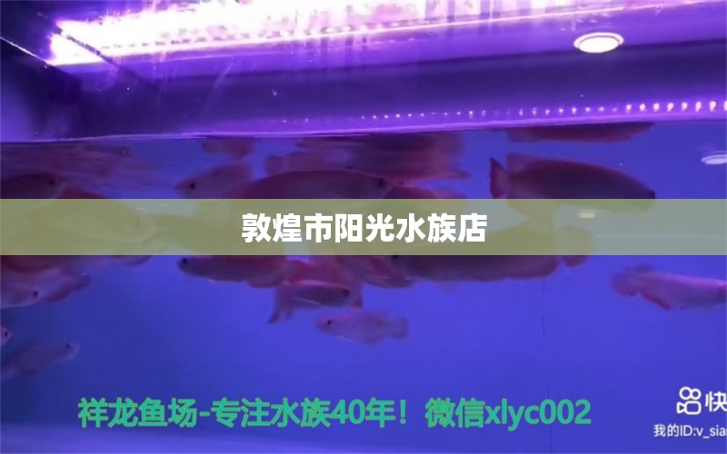 敦煌市阳光水族店 全国水族馆企业名录