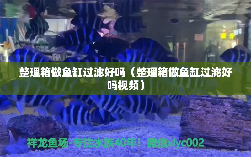 整理箱做鱼缸过滤好吗（整理箱做鱼缸过滤好吗视频） 其他品牌鱼缸