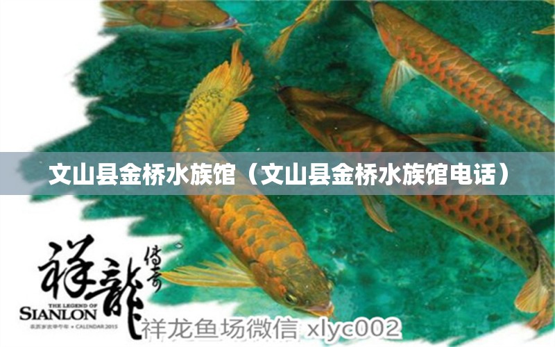 文山县金桥水族馆（文山县金桥水族馆电话）