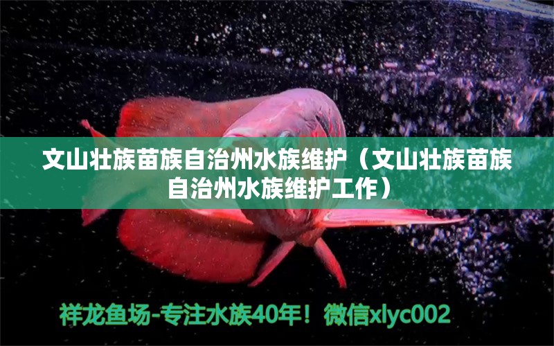 文山壮族苗族自治州水族维护（文山壮族苗族自治州水族维护工作）